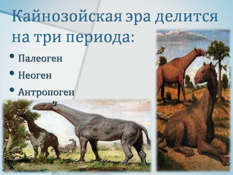 по биологии на тему жердің даму тарихы