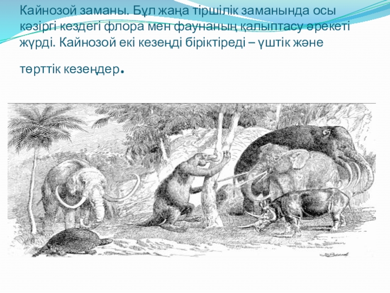 по биологии на тему жердің даму тарихы Кайнозой заманы. Бұл жаңа тіршілік заманында осы кәзіргі кездегі флора Кайнозой заманы. Бұл жаңа тіршілік заманында осы кәзіргі кездегі флора мен фаунаның қалыптасу әрекеті жүрді. Кайнозой