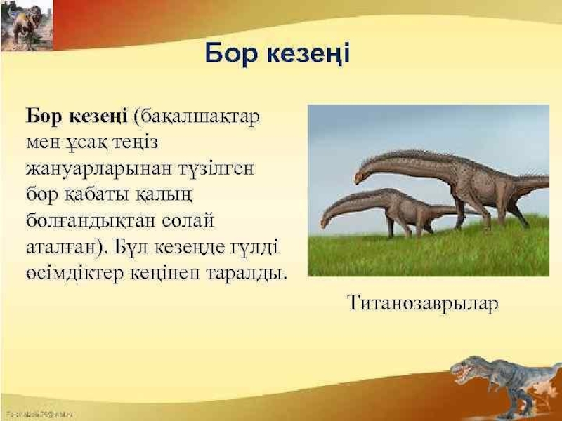 по биологии на тему жердің даму тарихы