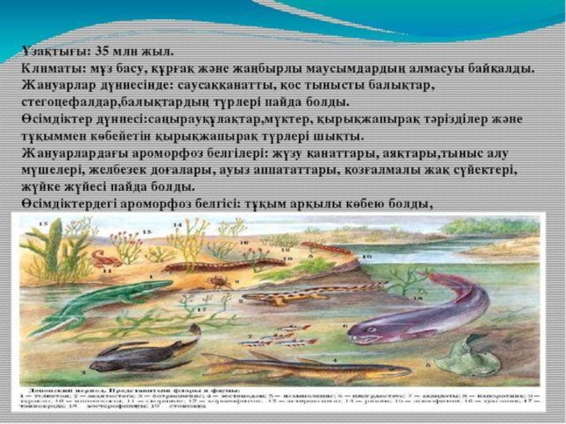по биологии на тему жердің даму тарихы