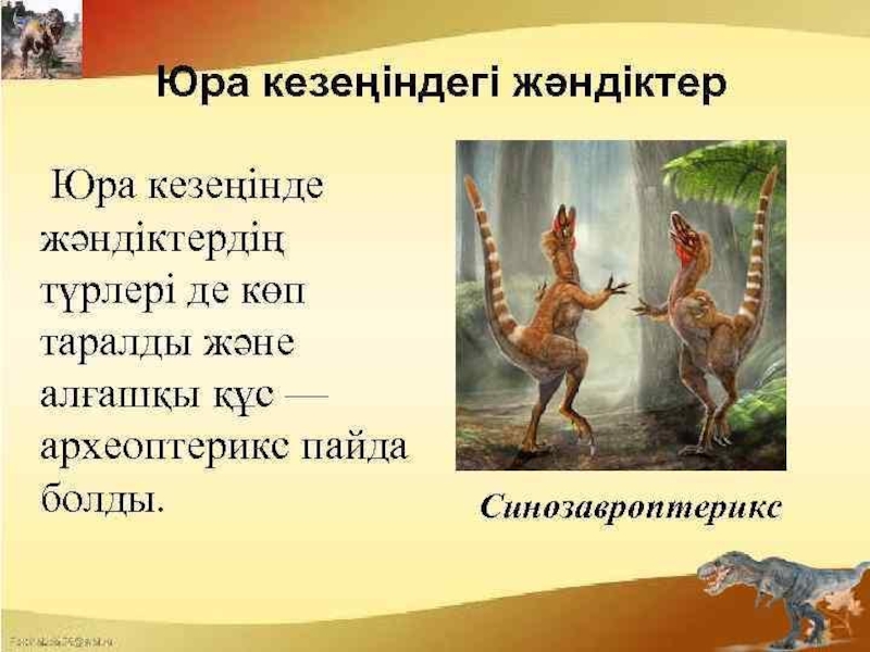 по биологии на тему жердің даму тарихы