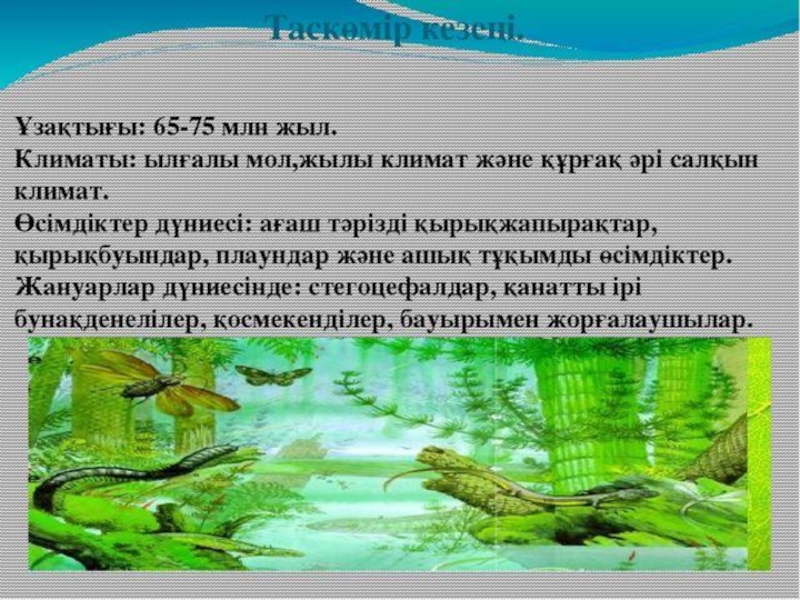 по биологии на тему жердің даму тарихы