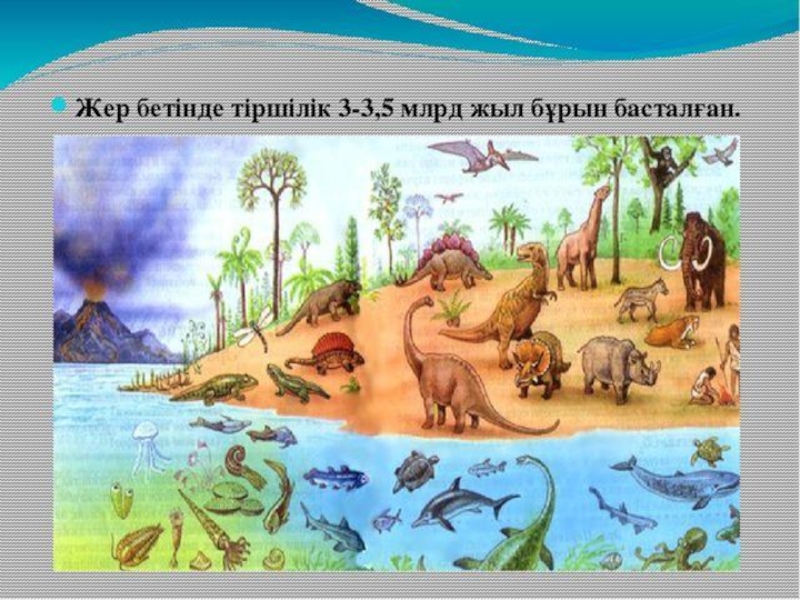 по биологии на тему жердің даму тарихы