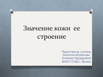 Презентация по биологии на тему Значение кожи и ее строение (8 класс)