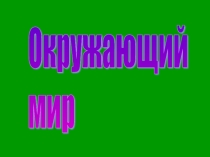 Презентация по окружающему миру