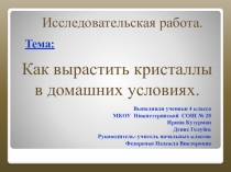 Презентация исследовательской работы  Как вырастить кристаллы соли в домашних условиях?