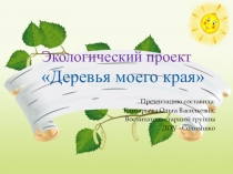 Презентация детского экологического проекта на тему: Деревья моего края