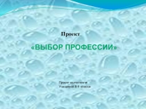 Проект профориентационной направленности .Презентация Выбор профессии