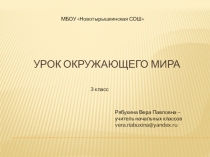 Презентация к уроку окружающего мира Разнообразие животных