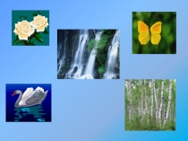 Вода и ее свойства