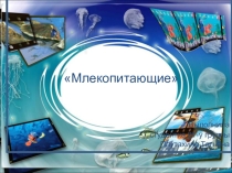 Презентация по естествознанию на темуМлекопитающие