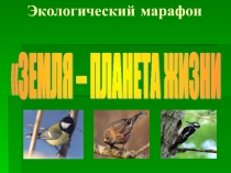 Экологический марафон Земля-планета жизни