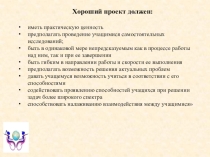 Лекции по математике: еще раз о проектных технологиях
