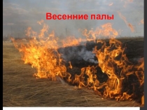 Классный час по теме Пал травы.