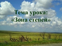 Презентация по окружающему миру на тему Зона степей