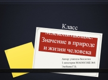 Класс Млекопитающие. Значение в природе и жизни человека