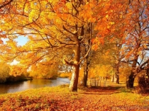 Презентация по русскому языку на тему Правописание гласных и согласных в корне слова