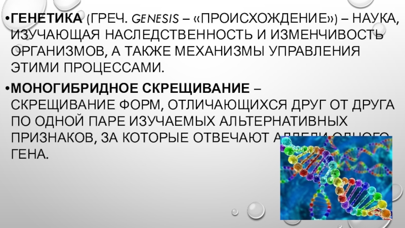 Презентация учебно - исследовательской работы по биологии на тему ИЗУЧЕНИЕ ЗАКОНОМЕРНОСТЕЙ МОНОГИБРИДНОГО СКРЕЩИВАНИЯ НА ПРИМЕРЕ МОЕЙ СЕМЬИ. Генетика (греч. genesis – «происхождение») – наука, изучающая наследственность и изменчивость Генетика (греч. genesis – «происхождение») – наука, изучающая наследственность и изменчивость организмов, а также механизмы управления этими