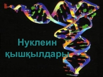 Презентация по биологии на тему Нуклеиновые кислоты(10 класс)