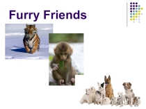Презентация по английскому языку на тему Furry Friends (5 класс)
