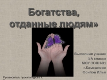 Презентация по окружающему миру Богатства отданные людям