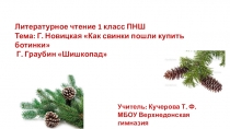 Урок литературного чтения 1 класс ПНШ Стихи Г. Новицкая Как свинки пошли купить ботинки, Г. Граубин Шишкопад