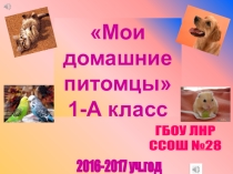 Презентация по окружающему миру  Мои домашние питомцы ( 1 класс)