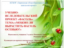 Презентация  ФасольКак в комнате можно вырастить фасоль.