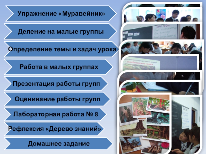 Презентация урока Видоизменения корней