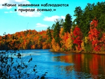 Презентация по окружающему миру Осенние изменения в природе