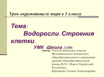Презентация по окружающему миру на тему Водоросли. Строение клетки (3 класс)
