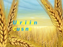 Презентація на тему Ukrainian Cuisine. Англійська мова 6 клас
