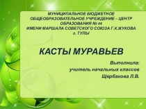 Презентация Муравьи . Окружающий мир