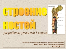 Разработка урока по биологии для 8 класса
