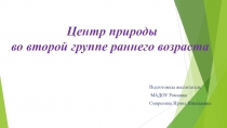 Презентация Центр природы во второй группе раннего возраста