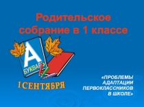 Презентация  Проблемы адаптации первоклассников в школе