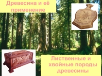 Презентация вводного урока по технологии
