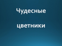 Презентация к уроку окружающего мира Чудесные цветники (1 класс)