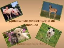 Презентация Домашние животные и их польза подготовительная группа