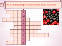Презентация Овощи и плоды