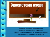Презентация по окружающему миру на тему Экосистема озера