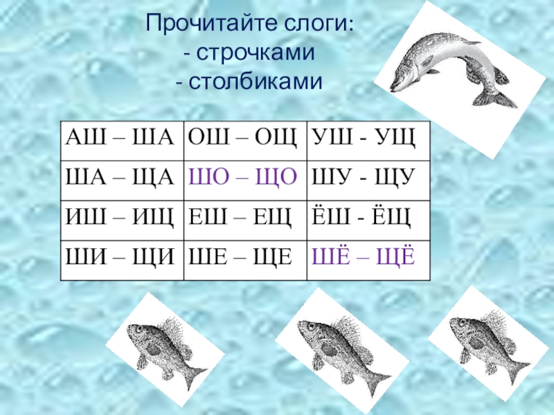 Презентация к логопедическому занятию по теме Дифференциация звуков и букв Ш-Щ Прочитайте слоги: - строчками - столбиками Прочитайте слоги: - строчками - столбиками