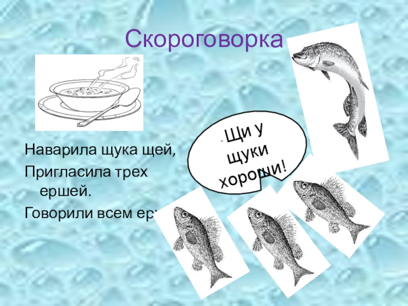 Презентация к логопедическому занятию по теме Дифференциация звуков и букв Ш-Щ СкороговоркаНаварила щука щей,Пригласила трех ершей.Говорили всем ерши:- Щи у щуки хороши! СкороговоркаНаварила щука щей,Пригласила трех ершей.Говорили всем ерши:- Щи у щуки хороши!