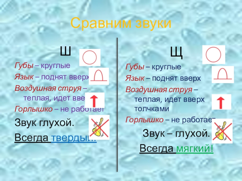 Презентация к логопедическому занятию по теме Дифференциация звуков и букв Ш-Щ Сравним звукиШГубы – круглыеЯзык – поднят вверхВоздушная струя – теплая, идет Сравним звукиШГубы – круглыеЯзык – поднят вверхВоздушная струя – теплая, идет вверхГорлышко – не работаетЗвук глухой.Всегда твердый!ЩГубы