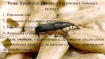 Презентация по сельскохозяйственной энтомологии на тему Вредители зернобобовых культур