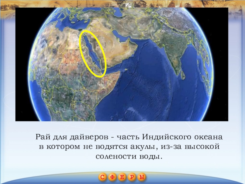 Презентация по географии на тему Индийский океан (7 класс) Рай для дайверов - часть Индийского океана в котором не водятся акулы, из-за высокой солености воды. Рай для дайверов - часть Индийского океана в котором не водятся акулы, из-за высокой солености воды.