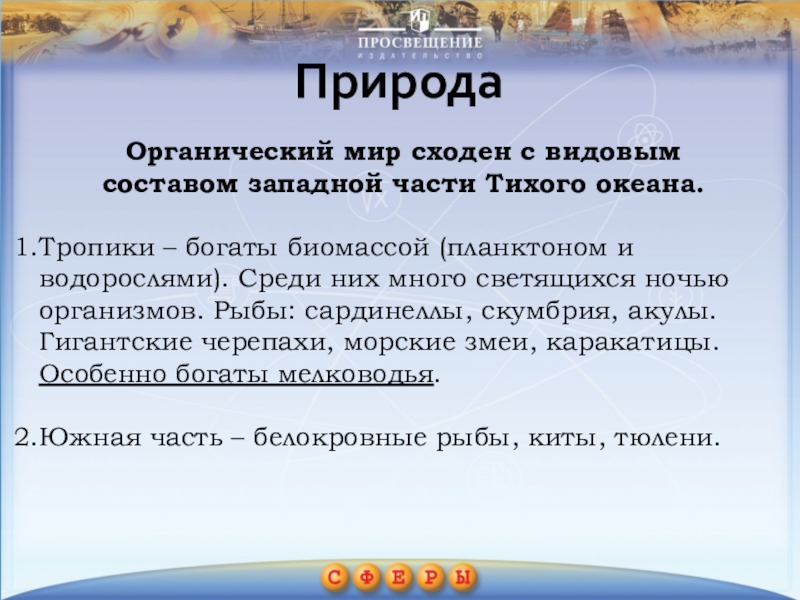 Презентация по географии на тему Индийский океан (7 класс) ПриродаОрганический мир сходен с видовым составом западной части Тихого океана.Тропики – ПриродаОрганический мир сходен с видовым составом западной части Тихого океана.Тропики – богаты биомассой (планктоном и водорослями). Среди