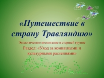 Путешествие в страну Травляндию Экологическое воспитание в старшей группе Раздел: Уход за комнатными и культурными растениями