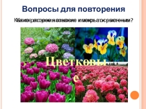 Презентация к уроку биологии Половое размножение цветковых
