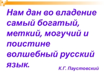 Презентация по теме Имя существительное . Обобщающий урок. 6класс